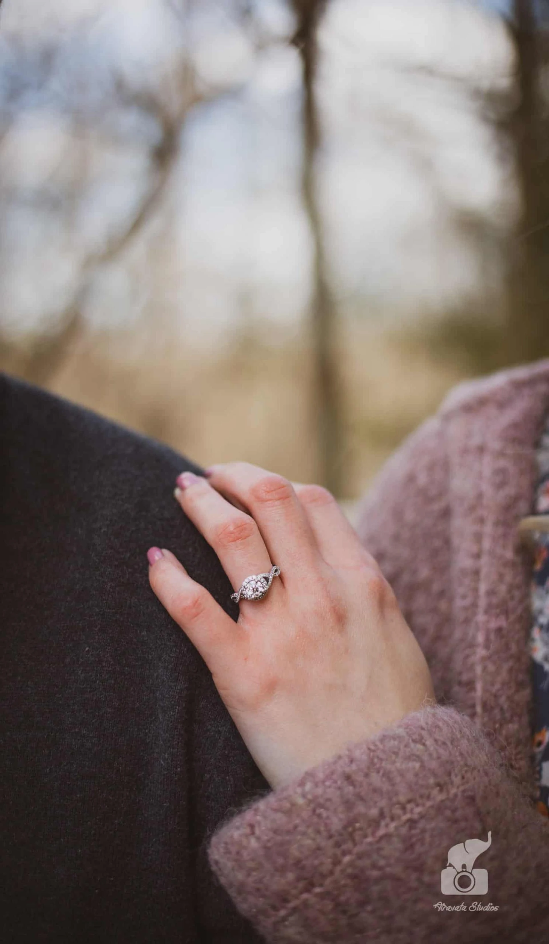 Selecting the Best Engagement Photographer in Ann Arbor