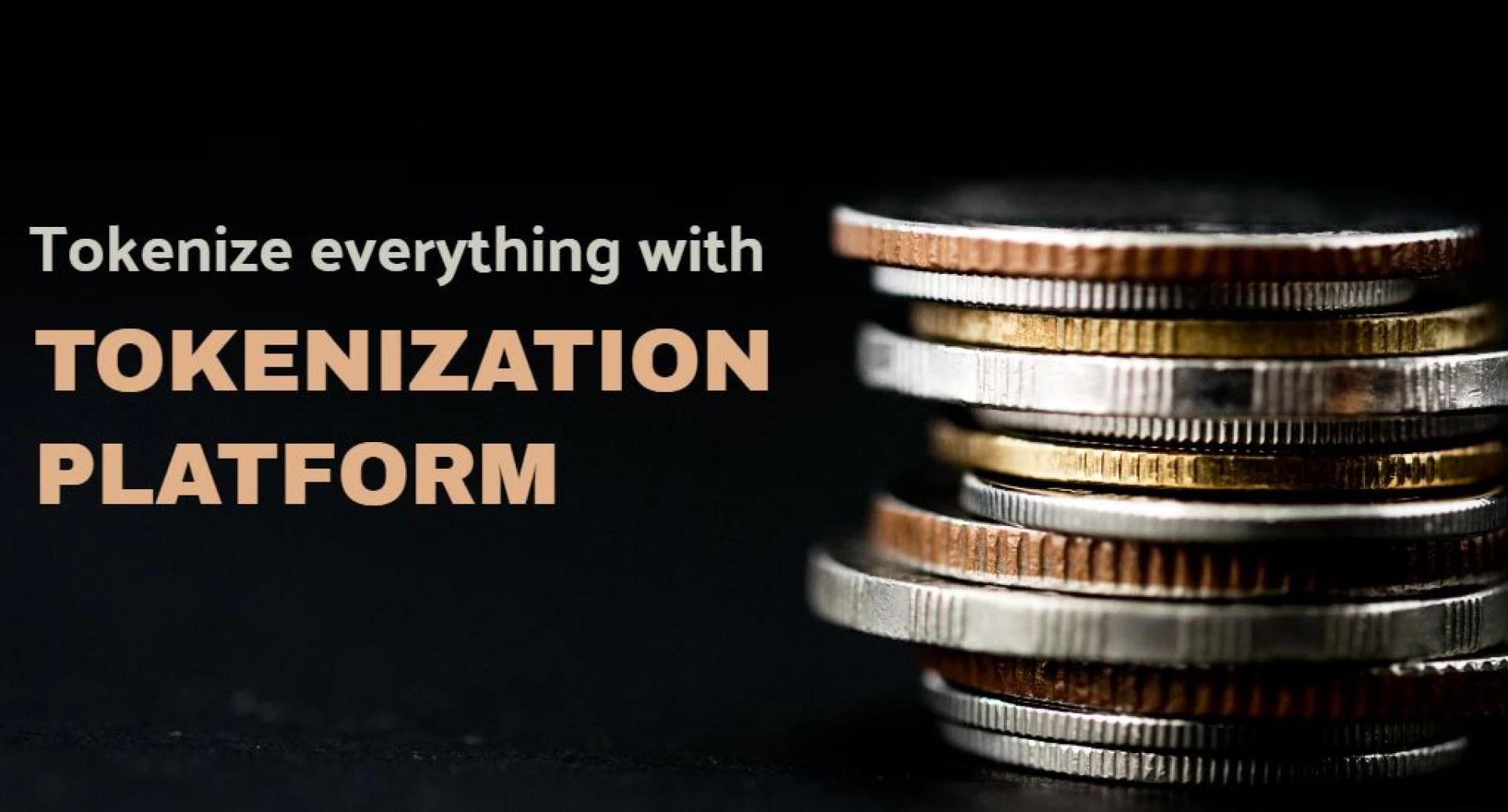 Tokenize everything with Tokenization platform development