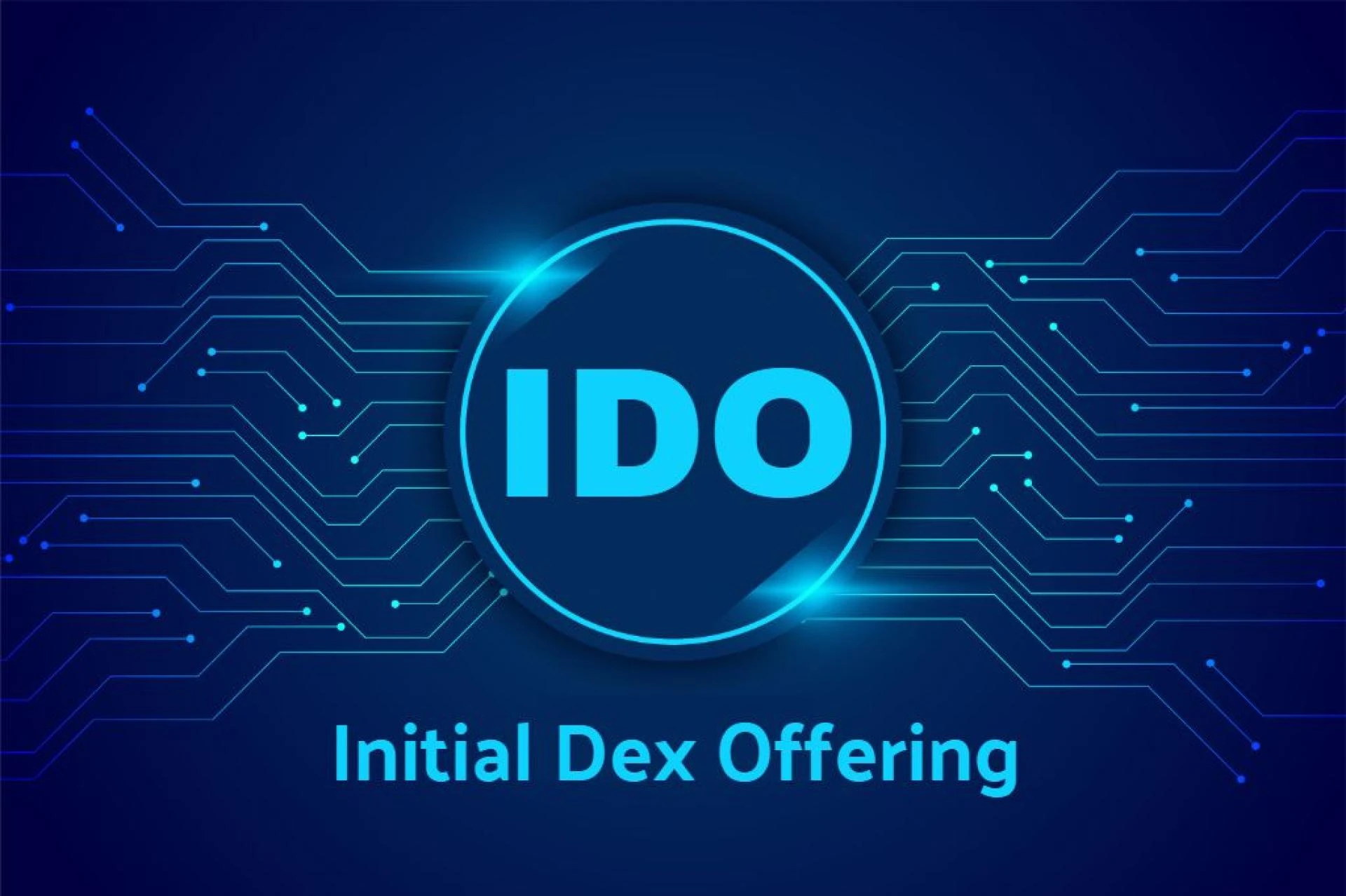 How did IDO Service transform investors' business growth?