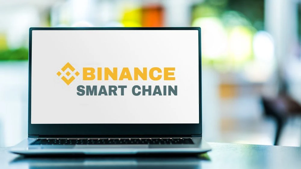 Increase your Business Revenue quickly with Binance Smart Chain Development Service