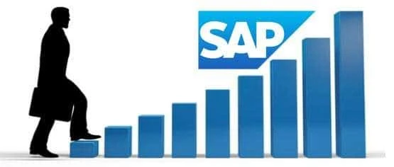 What Does an SAP Functional Consultant Do?