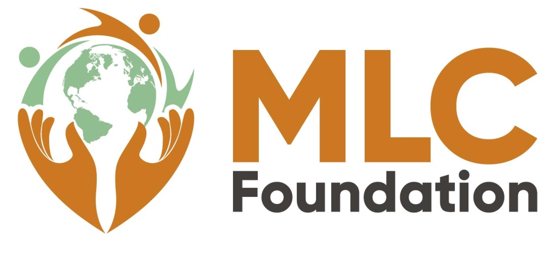 Exploring the Role of NGOs in Washington, USA