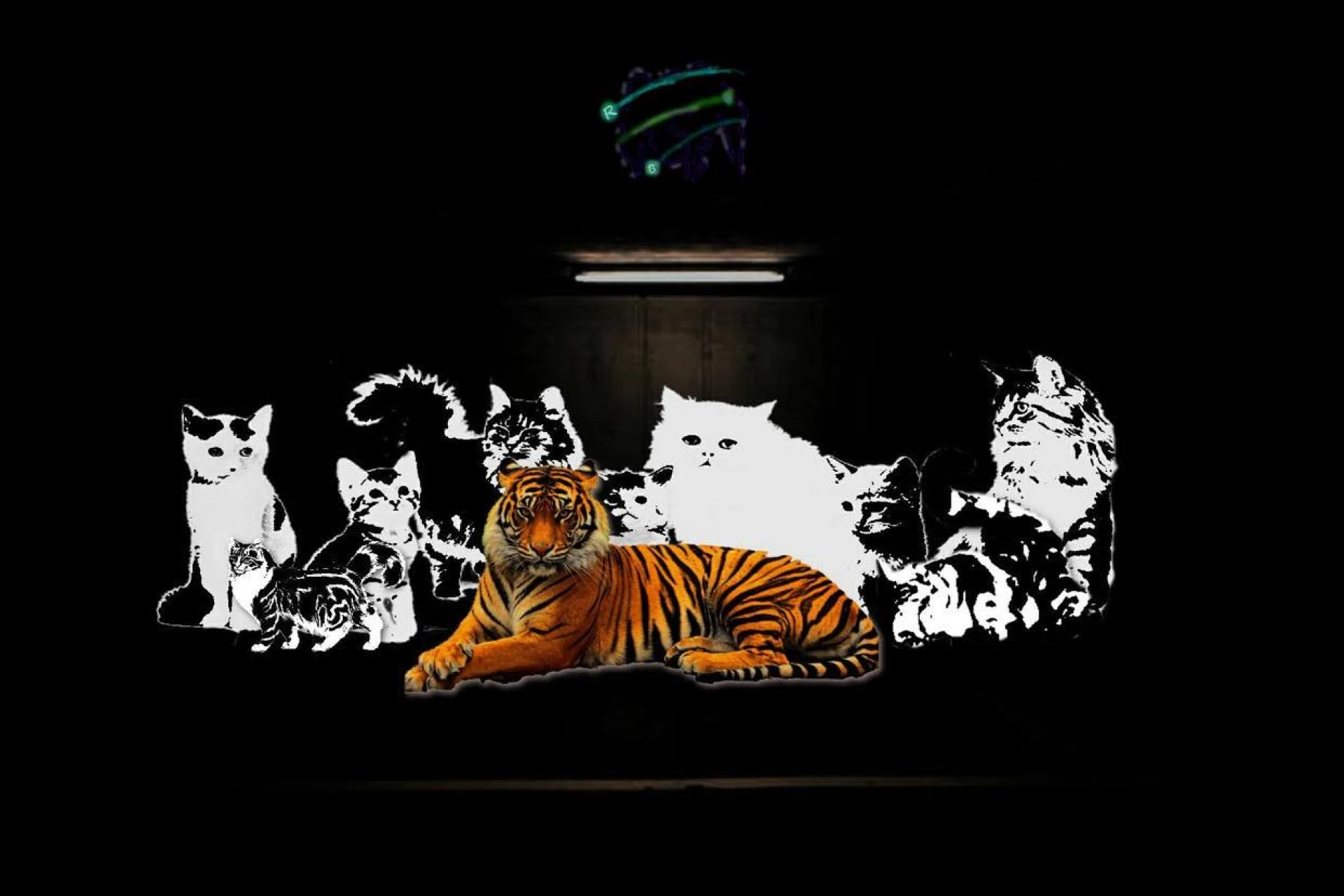 Exploring the Sunshine State's Melodic Tapestry: Florida Music on Deezer