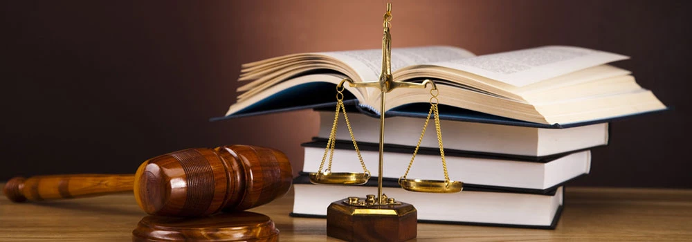 Top 10 Topics For Law Assignment Help