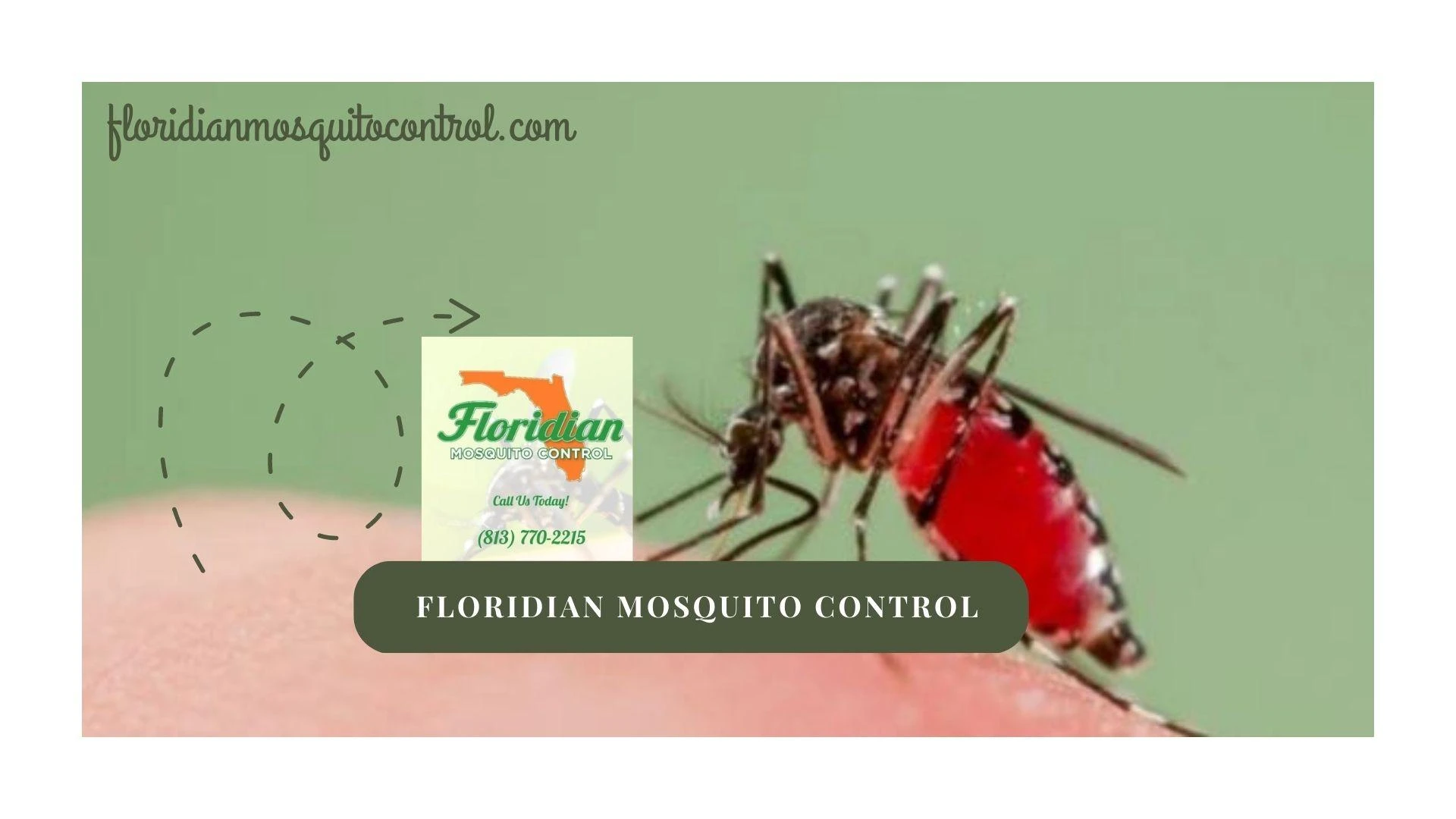 Keep Your Surroundings Infection Free- Pest Control Services for Mosquitoes &amp; Ticks in FL