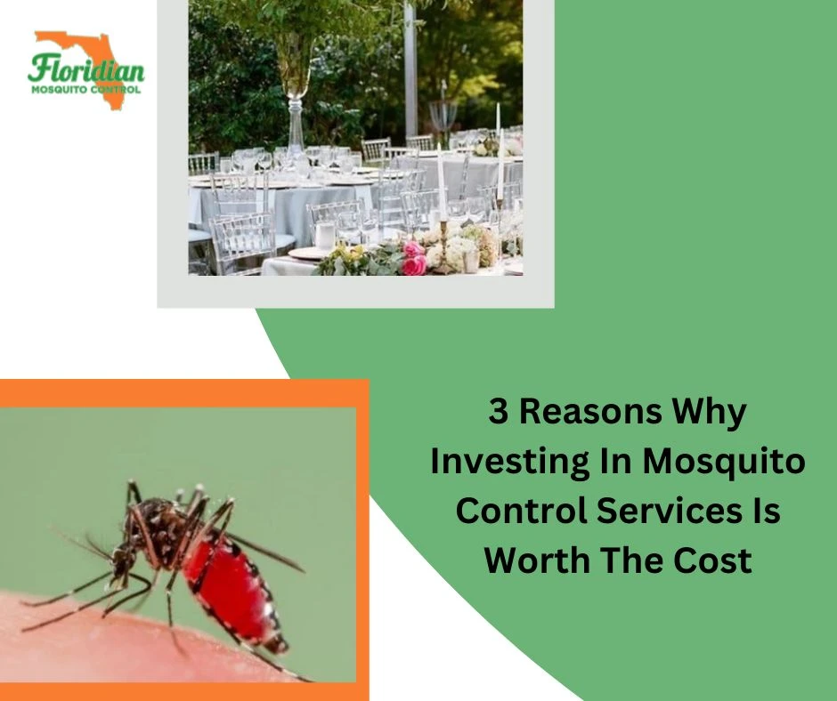 3 Reasons Why Investing In Mosquito Control Services Is Worth The Cost
