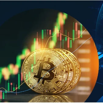 How to Use the White Label NFT Market: Everything You Need to Know