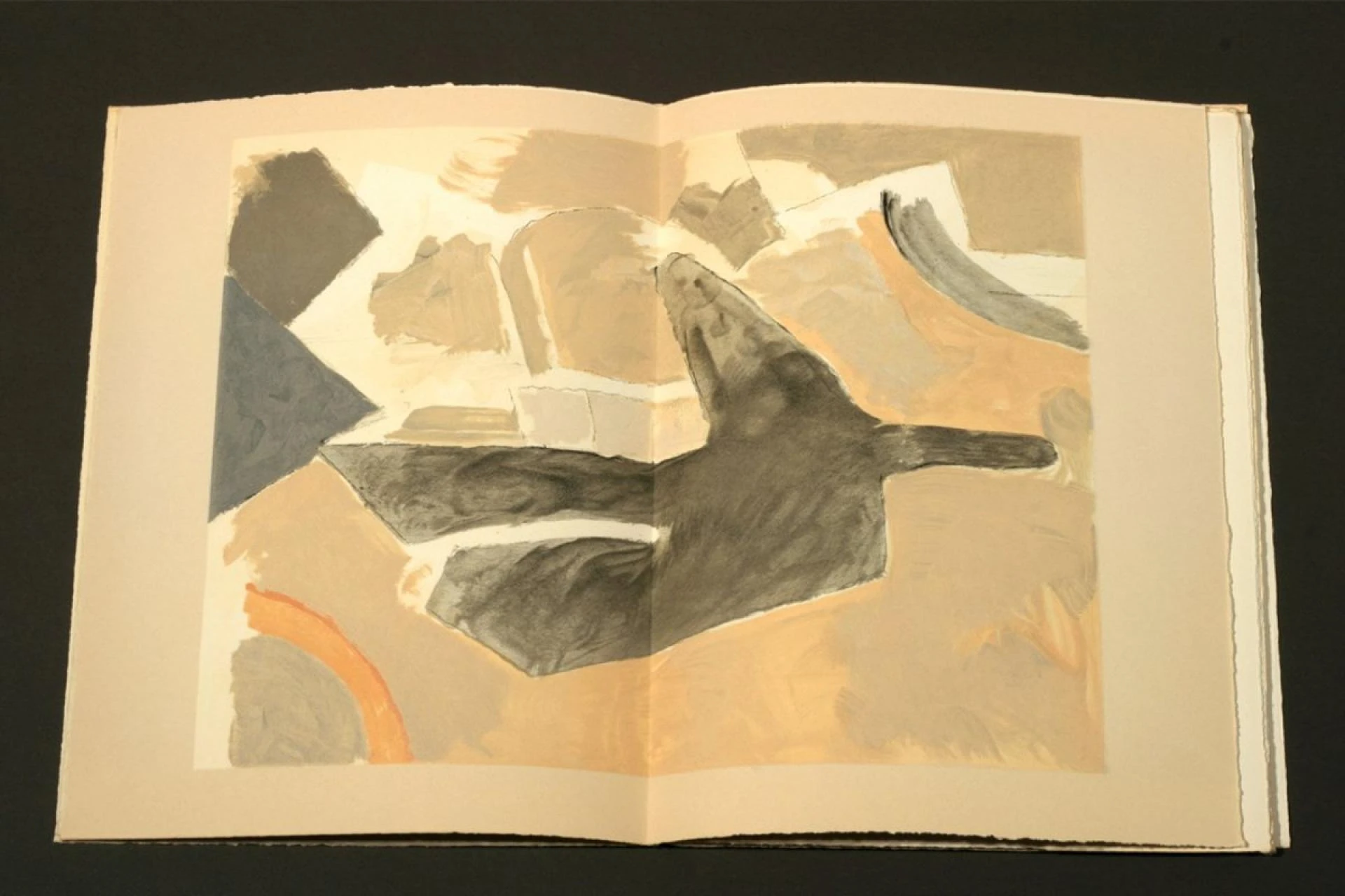 Are Lithographs Worth Buying?