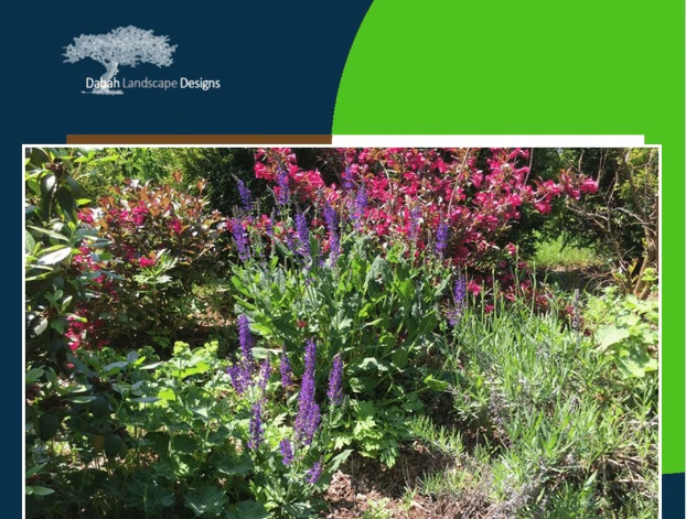 The Top Benefits of Having a Water Garden