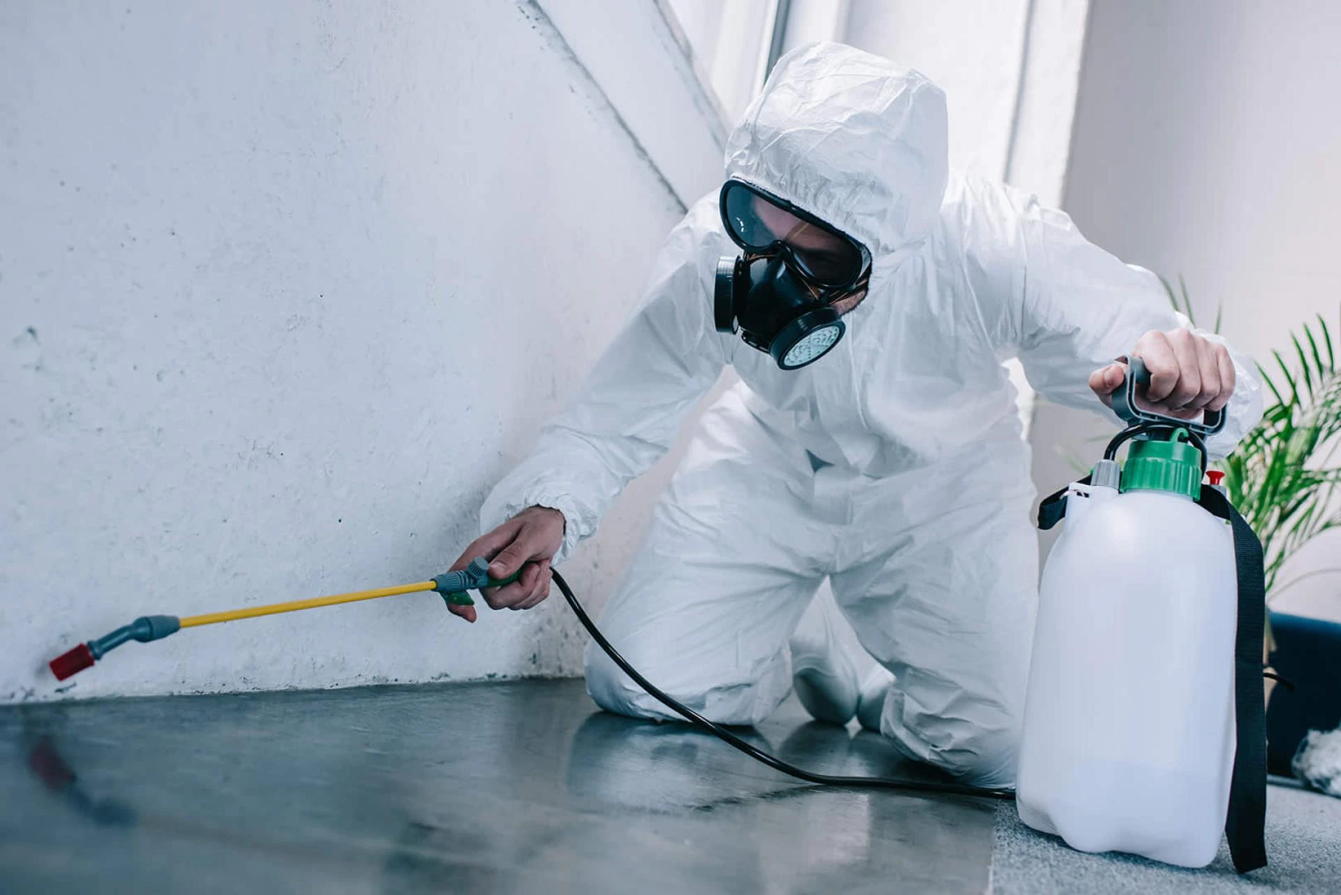 The Benefits of Hiring a Professional Pest Control Service
