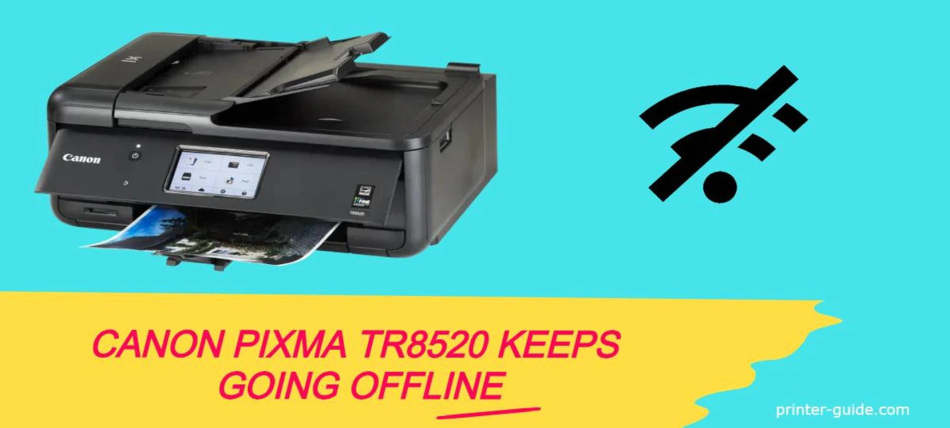 What should I do if my Canon Pixma TR8520 continues offline?