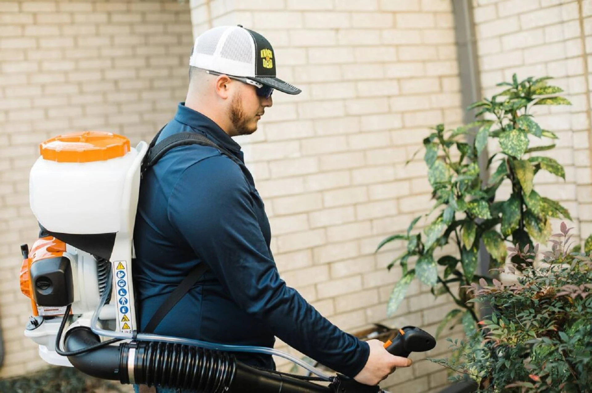 How To Choose The Prosper TX Pest Control Services?