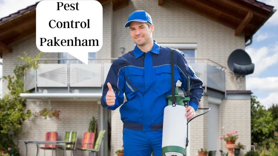 7 Effective Ways to Eliminate Bugs from Your House