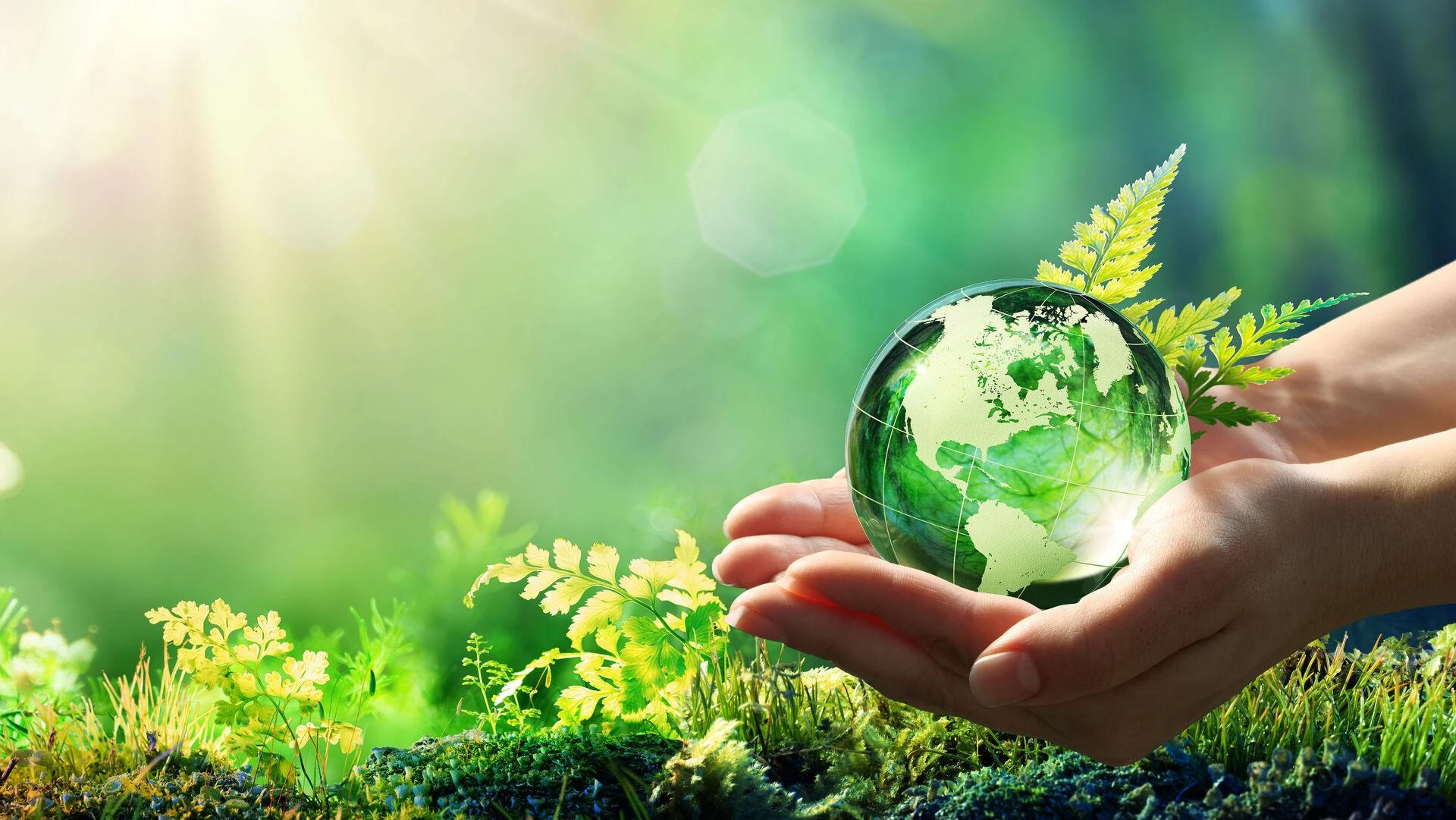 The Power of Sustainable, Responsible, and Impact Investing