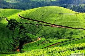 Enjoy your time in Ooty to the fullest!