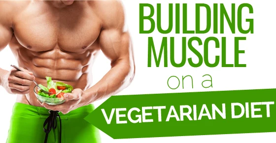 Gaining Muscle On A Vegan Diet | In-Depth Guide