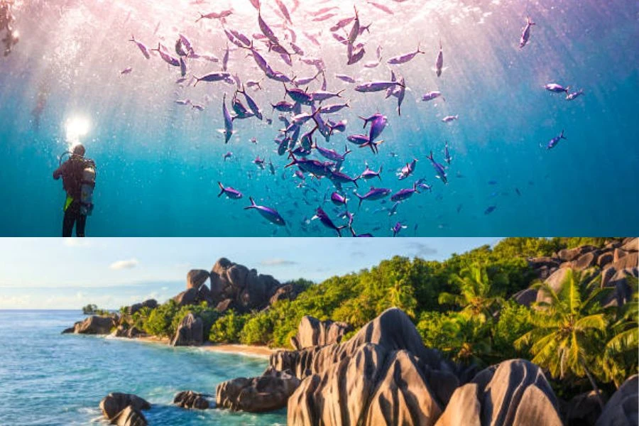 The Top 10 Family-Friendly Destinations in Maldives, Seychelles