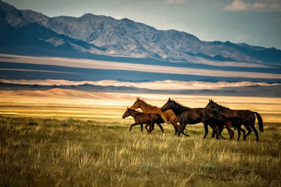 Top 10 Must-Visit Destinations in Kazakhstan in 2024