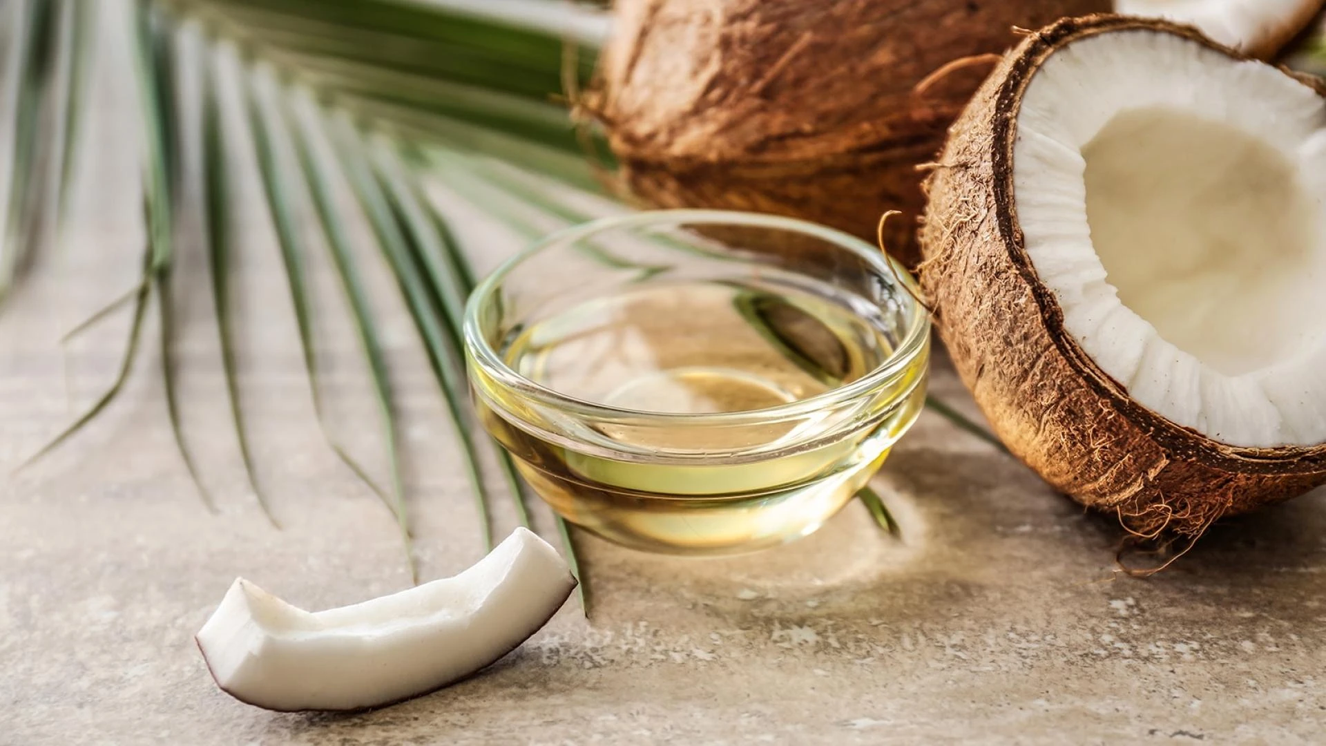 Coconut Oil Manufacturer | Coconut farm