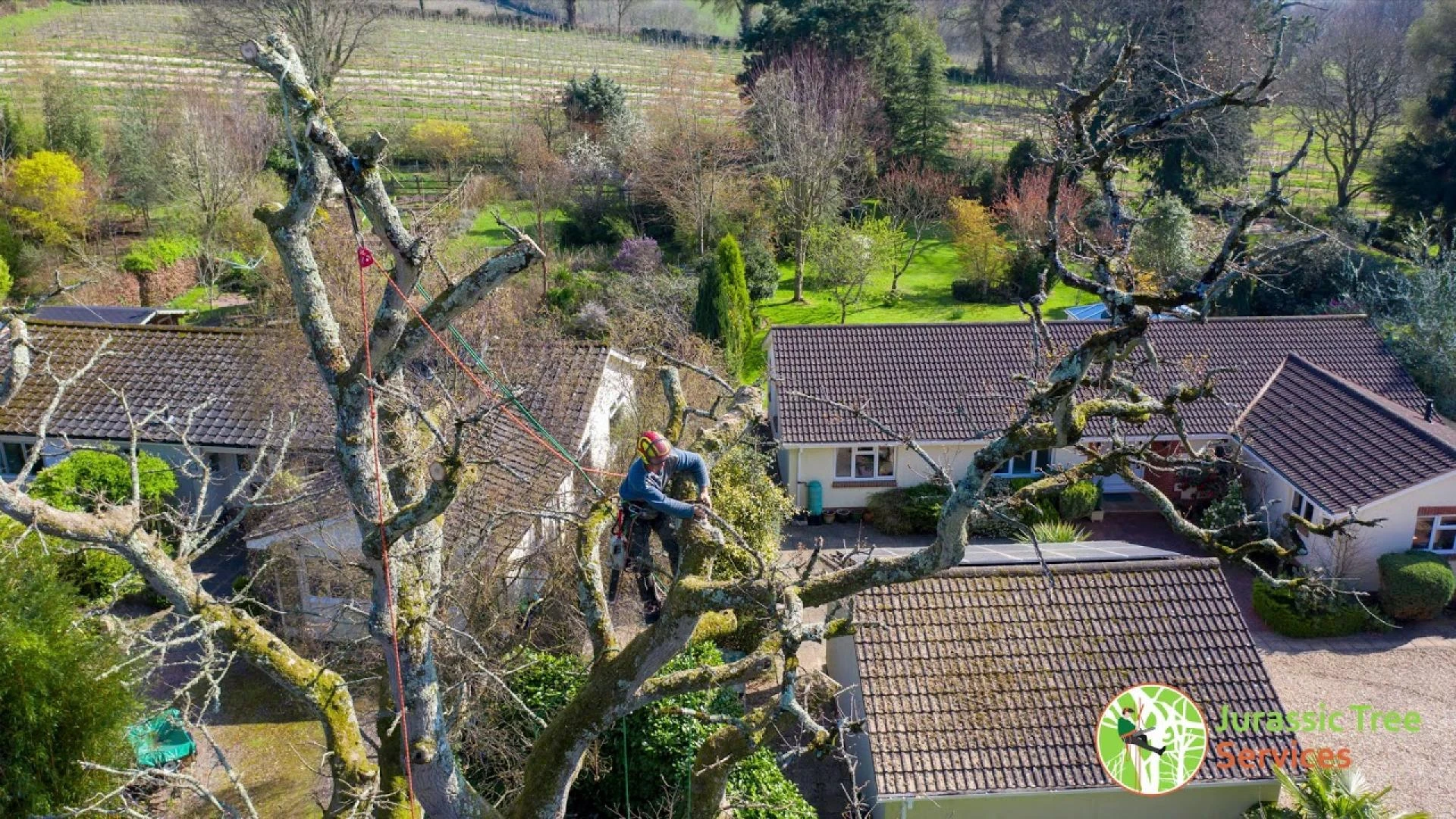 Preparing Your Trees For The Coming Summer