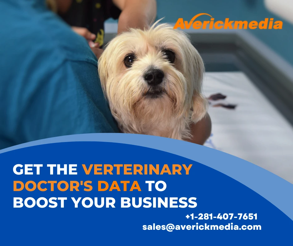 Grow Your Business with a Verified Veterinarian Email List