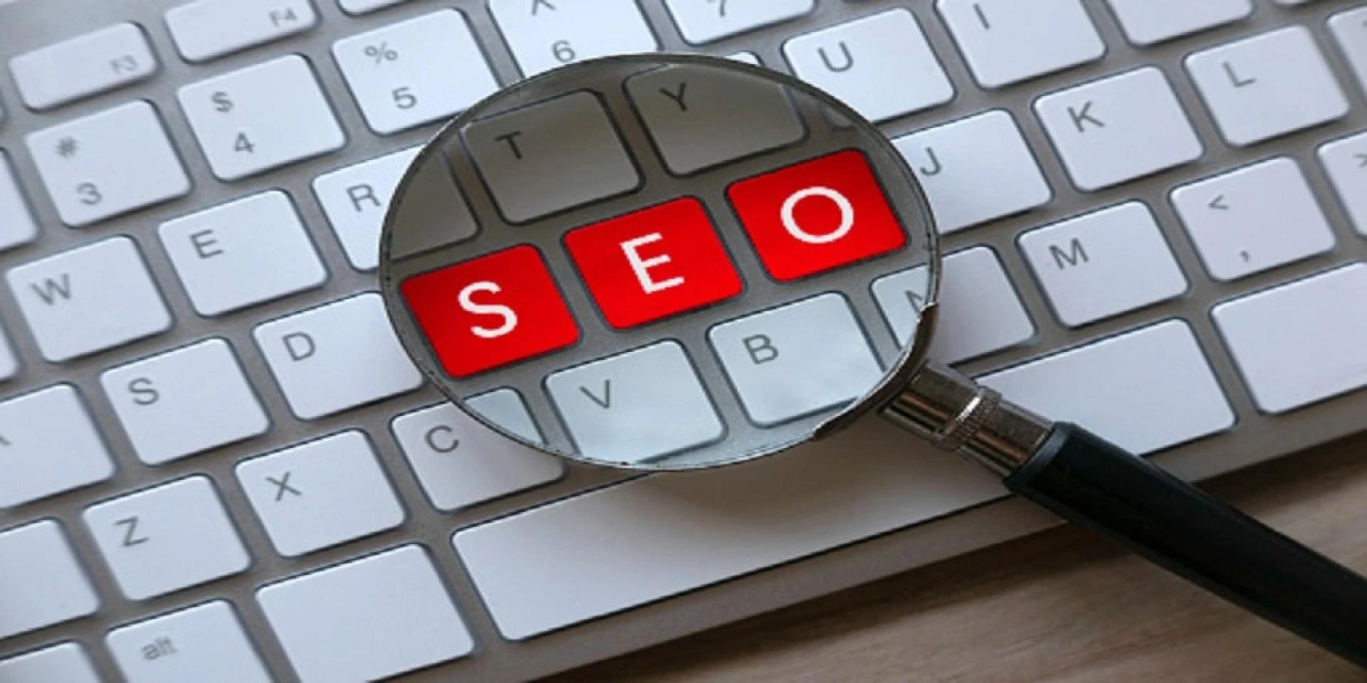 How Does SEO Help Your Business Grow? | Best SEO Services Calgary