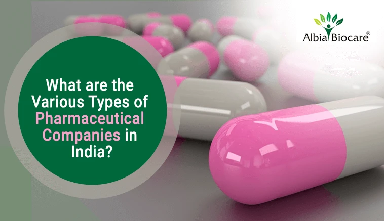 Who can start a PCD Pharma franchisee in India?