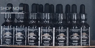 Factors to Consider when Buying CBD Tincture