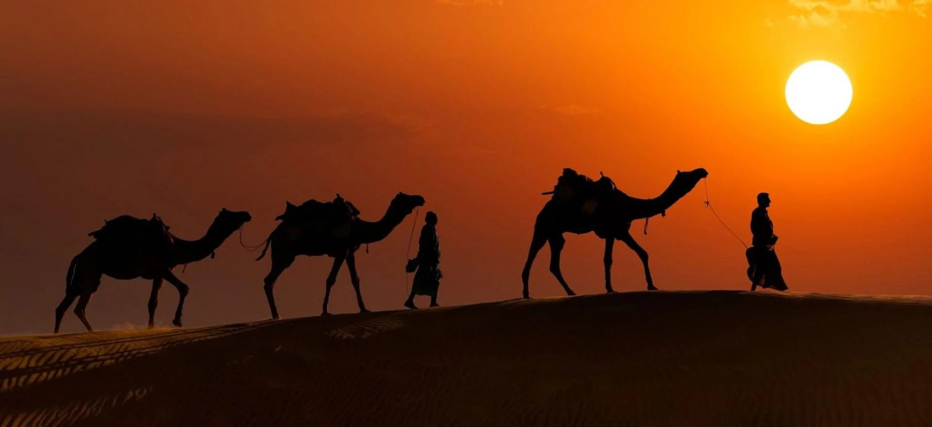Unwind Under the Stars: The Ultimate Camping Experience in Jaisalmer