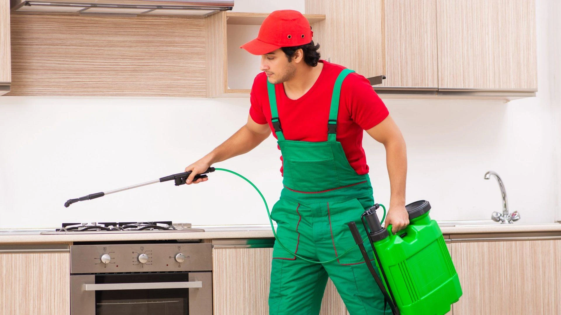 Unveiling Jaipur's Pest Control Heroes: A Comprehensive Review