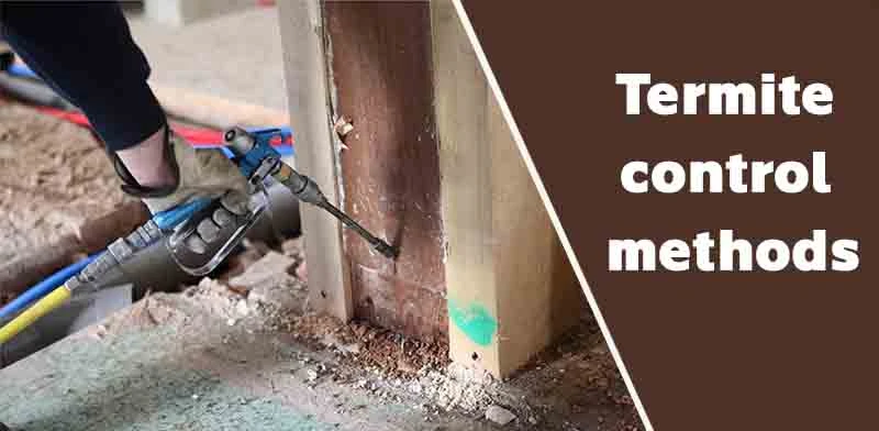 Managing Termite Infestations: Efficient Termite Control Methods in Jaipur