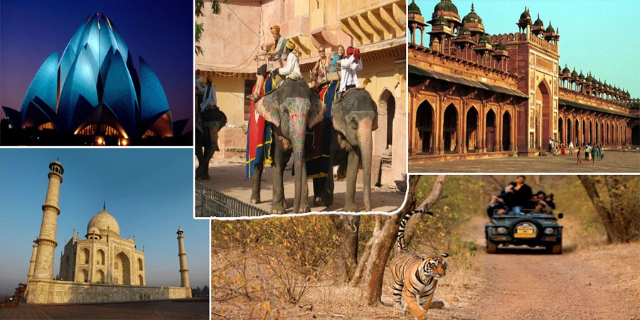 How to Plan a Memorable Ranthambore Jungle Safari Trip?