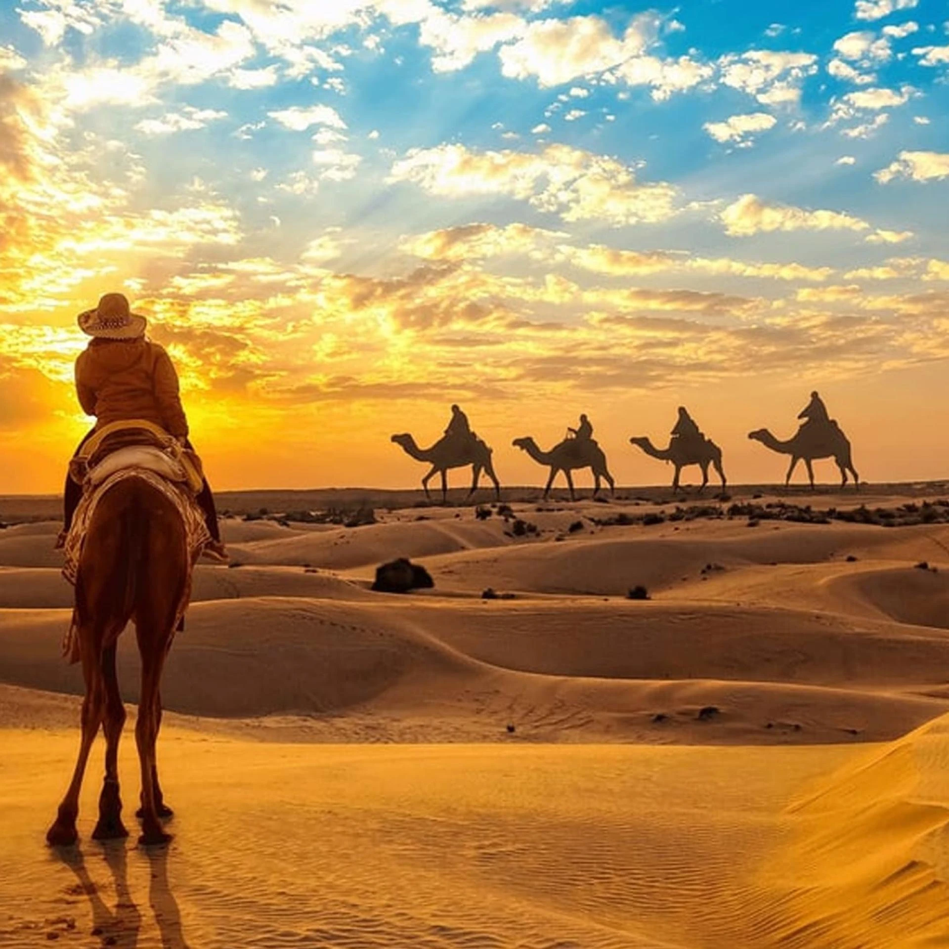 Embark on a Luxurious Journey: Exploring the Best Luxury Hotels in jaisalmer