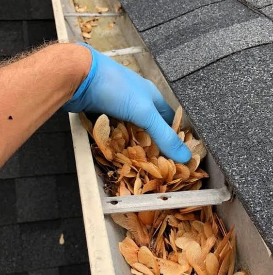 Fast and Effective Gutter Cleaning Gutter Cleaning in Highlands Ranch