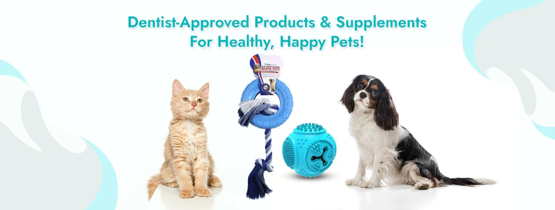 Understanding the Importance of Choosing the Correct Toothpaste and Toothbrush for Your Pet