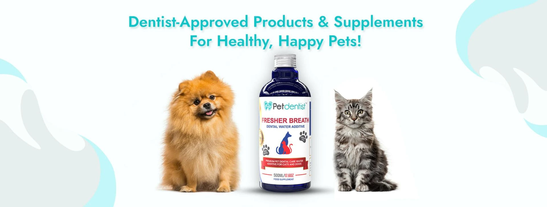 Veterinarian Advises Professional Teeth Cleaning of Dogs With Dog Toothbrush