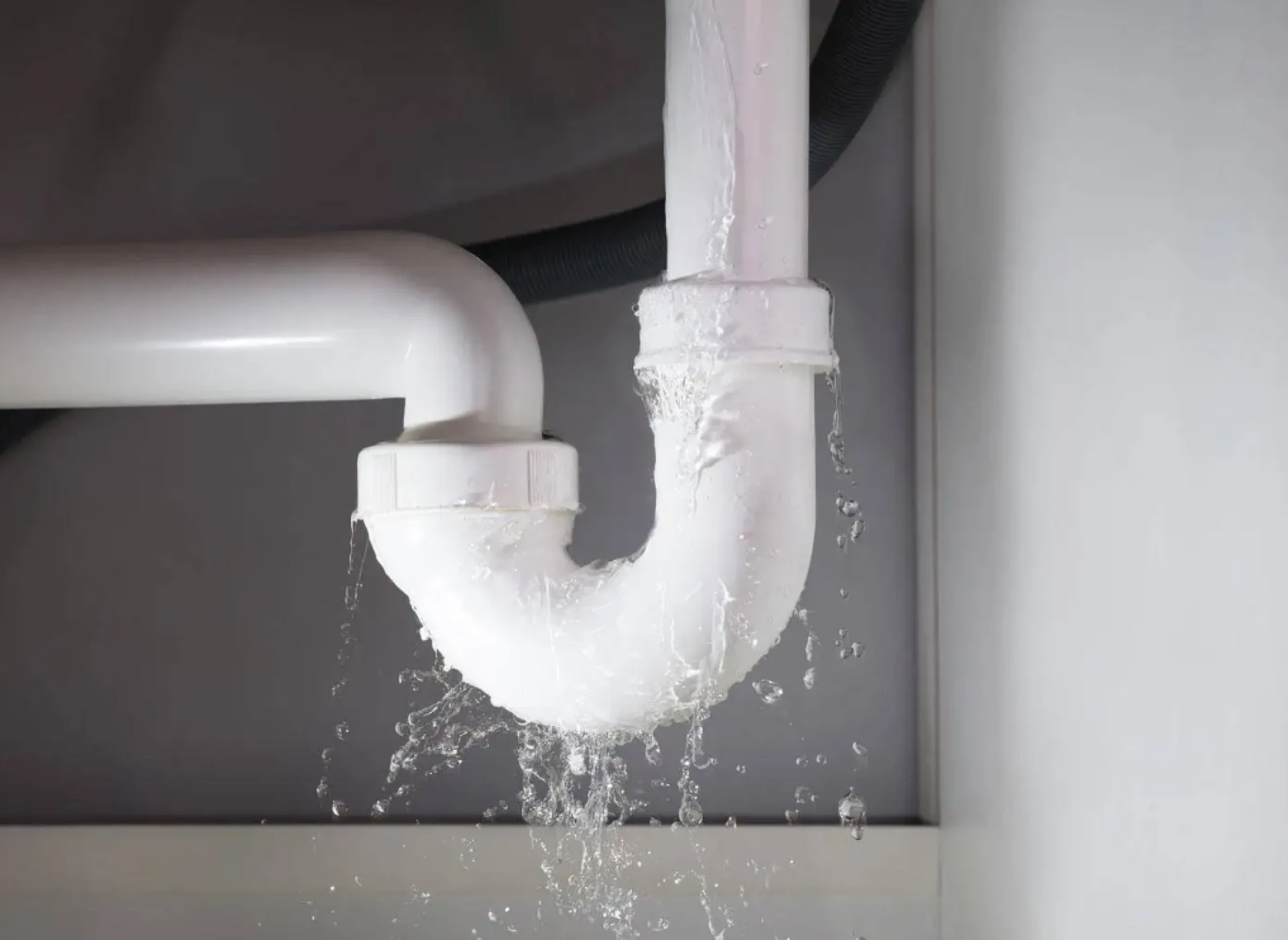 Reliable Plumbing Services in Rotterdam: Your Go-To Solution for Fast and Professional Assistance