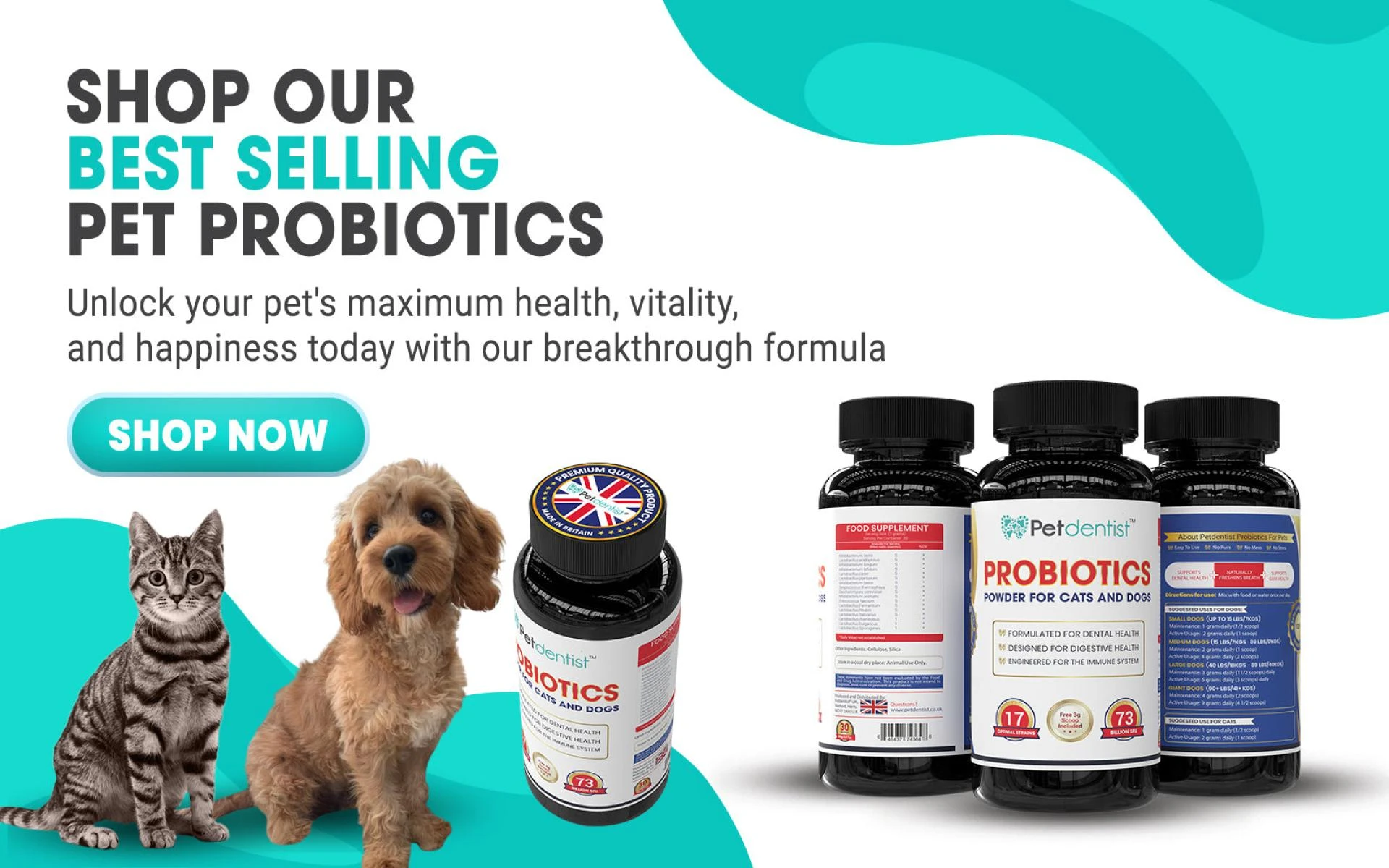 Severe, Long Injuries Can Cause Teeth Pain, So Use Dog Toothbrush Regularly