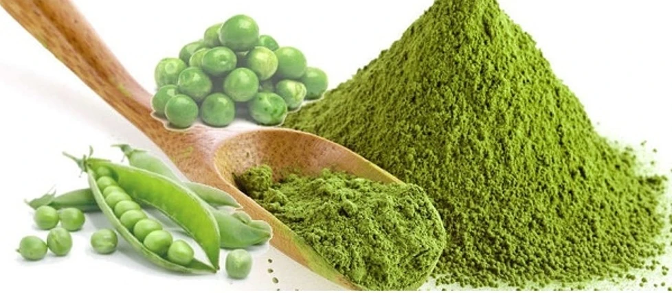 Pea Protein Isolate Market Growth Worth $542.9 Million by 2029