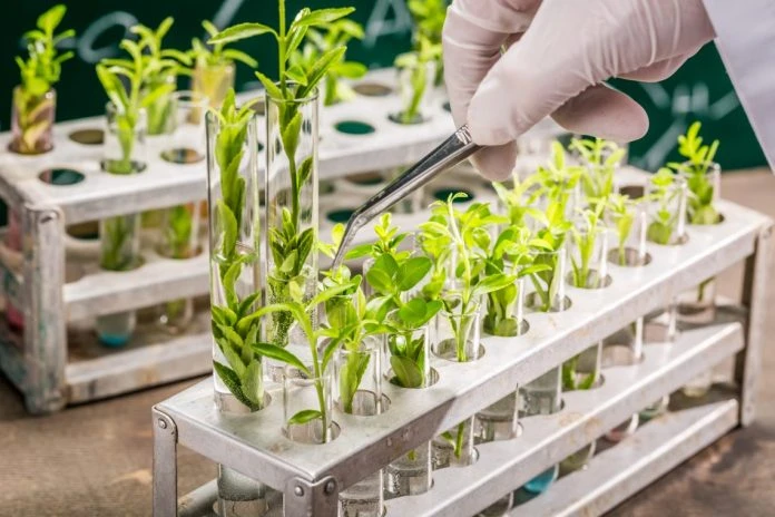 Meticulous Research® Reports: Plant Breeding Market Projected to Reach $33.79 Billion by 2029