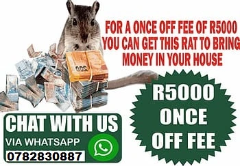 {{ }}+27782830887 Money Spell Magic Ring Wallet And Rats In Durban Pietermaritzburg And East London
