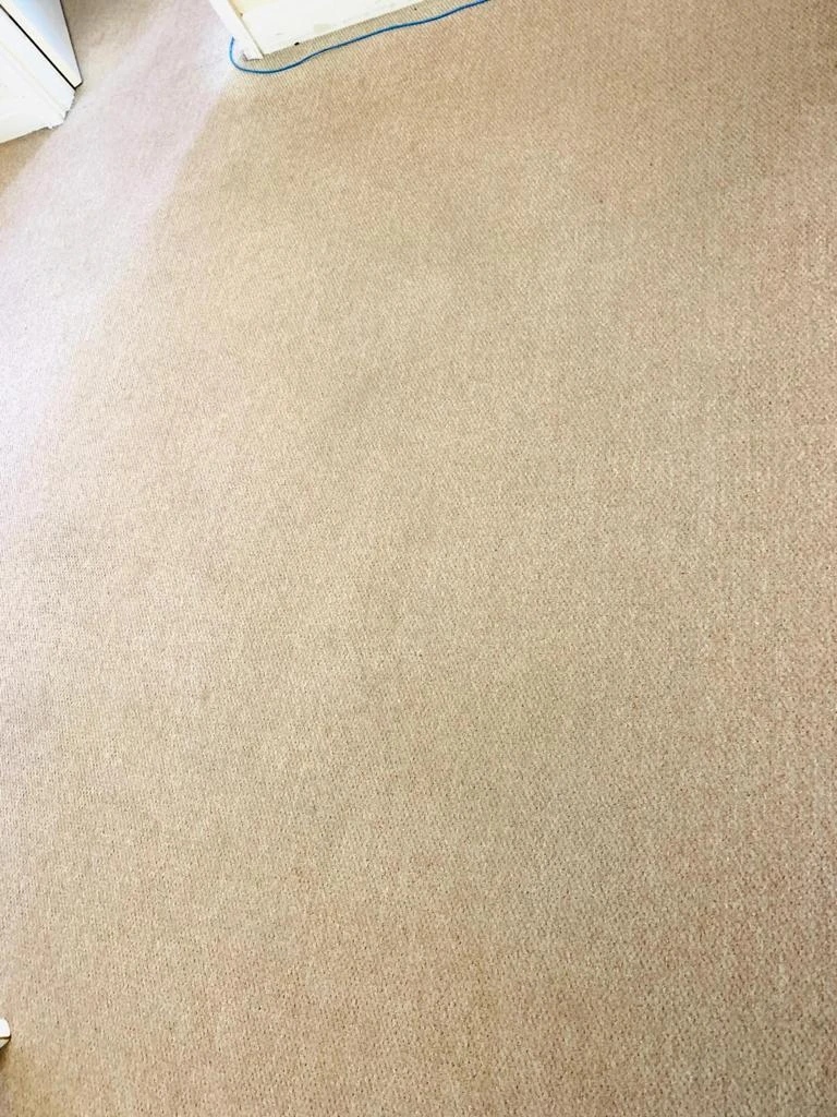 Expert Carpet Cleaning for a Healthier Penrith Home