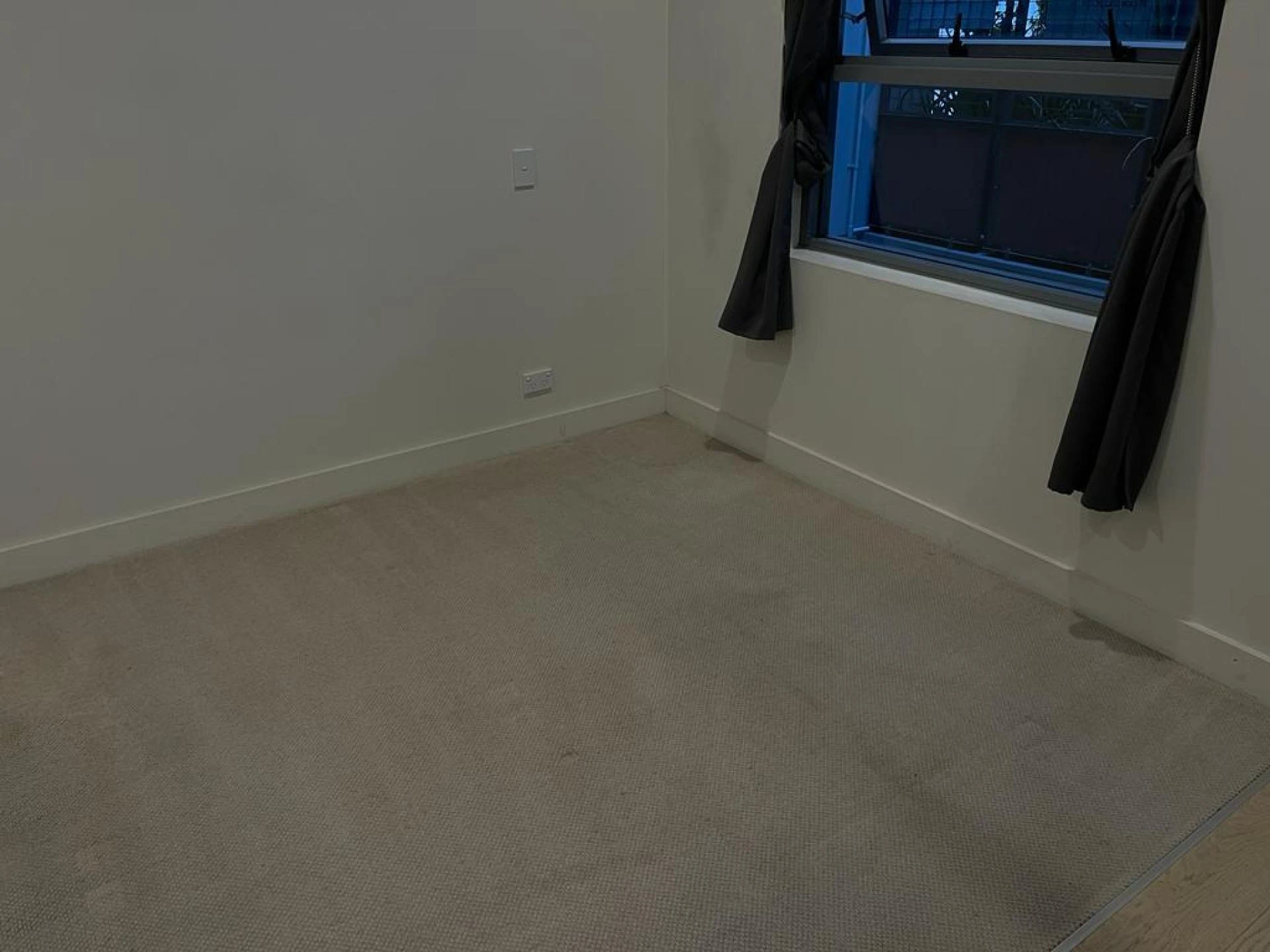 Penrith's Carpet Wizards: Cleaning Excellence Guaranteed