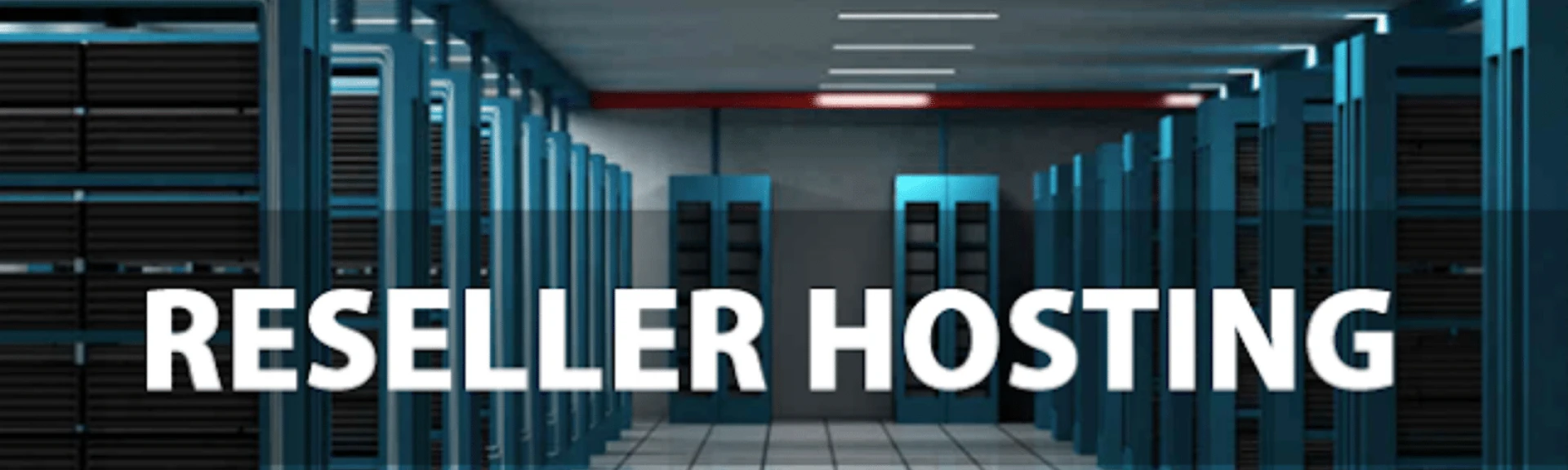 How do I start a reseller hosting business? Elementary steps
