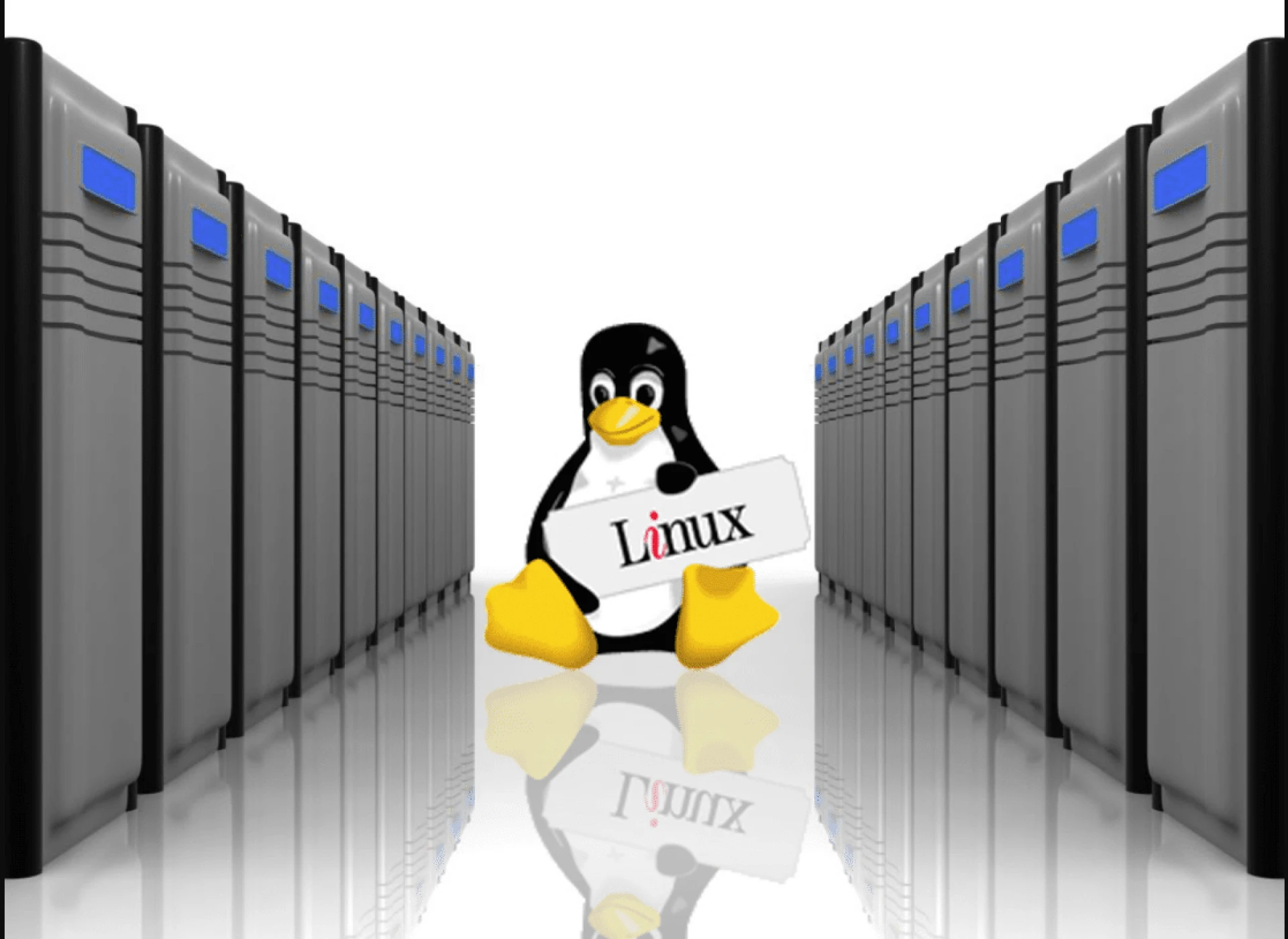 What are the highlights remembered for Linux Hosting?