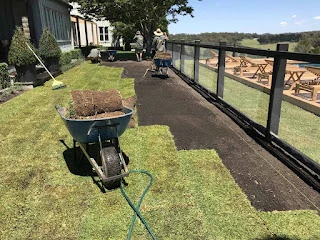 Creating A Low-Maintenance Front Yard: Tips And Ideas