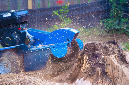 Reasons Why To Select Chesapeake Stump Grinding