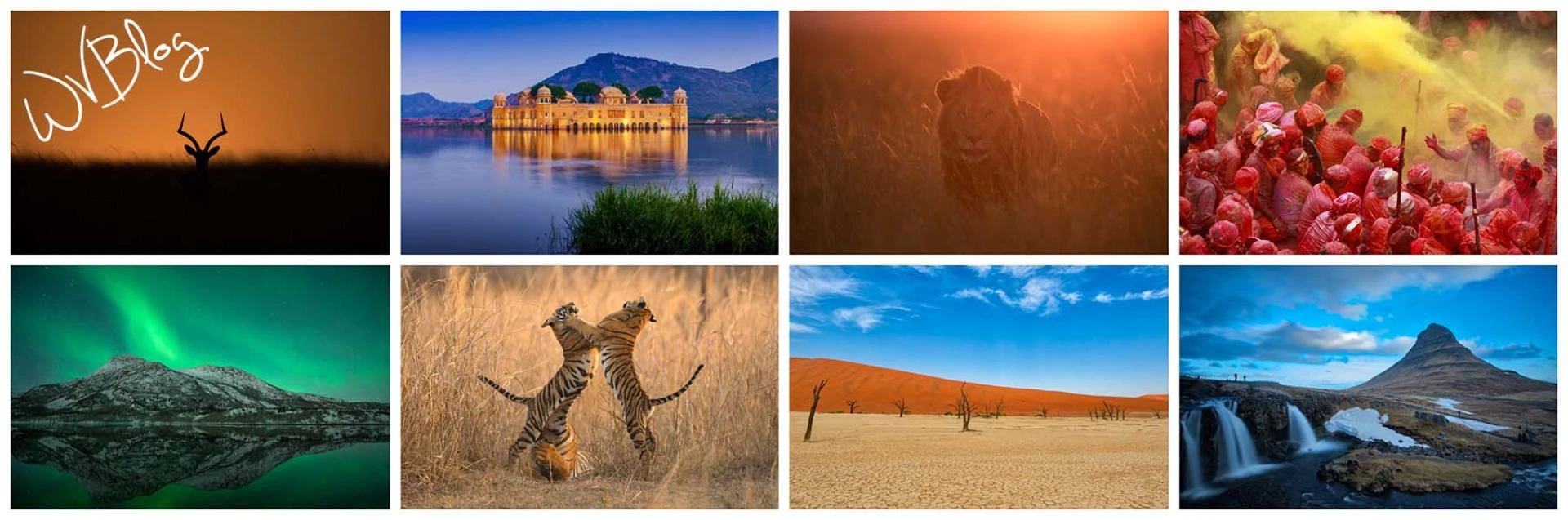 Tanzania Tour Packages: A Journey to the Heart of Africa's Natural Beauty