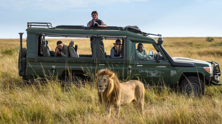Top 8 Reasons Why You Should Book a Luxury Safari in Tanzania