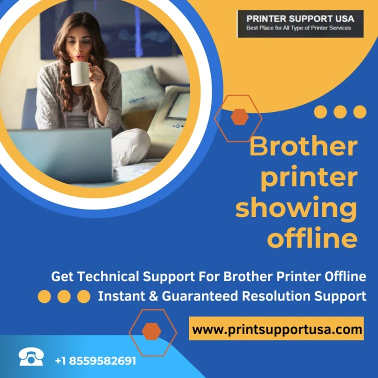 Brother Printer Offline to Online